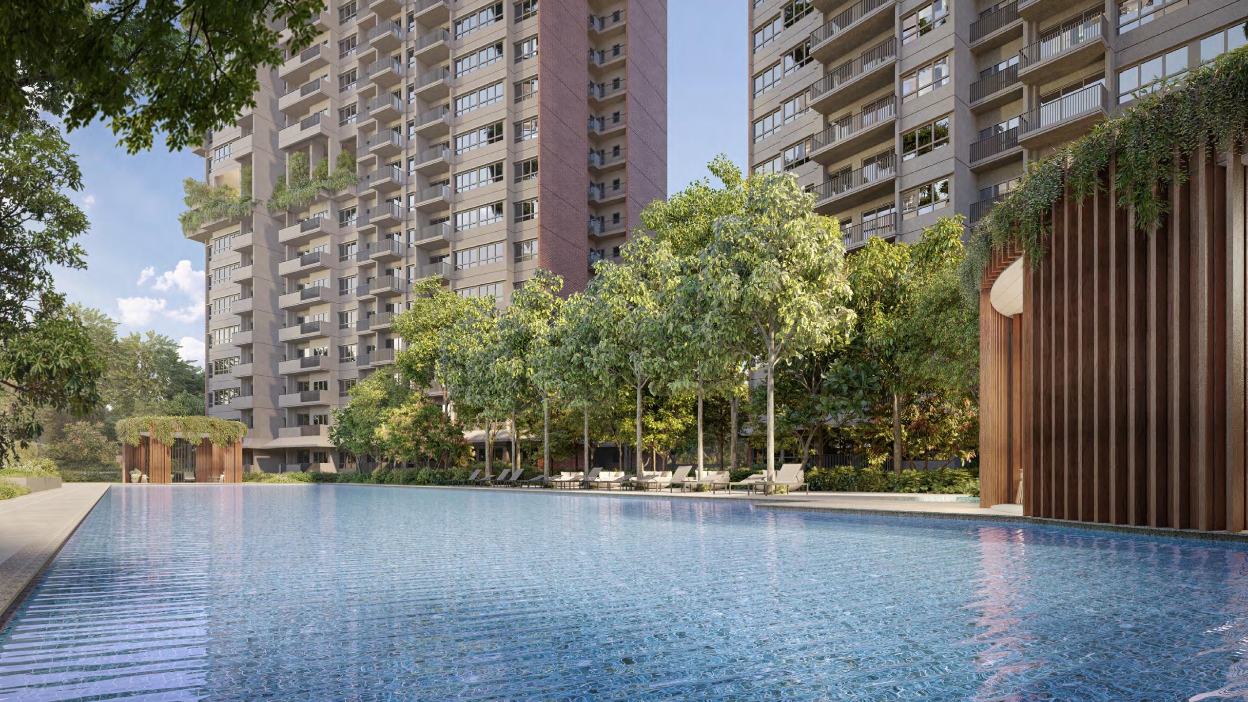 Springleaf Residence 50m Lap Pool Springleaf Residence 50m Lap Pool